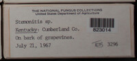 Image Associated With the Occurence